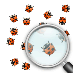 WordPress BugNet – Part Two